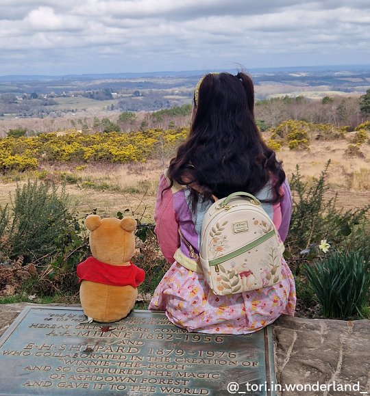 _tori.in.wonderland_